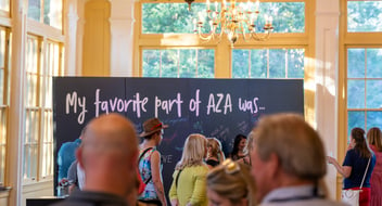 In Case You Missed It! AZA + SSA