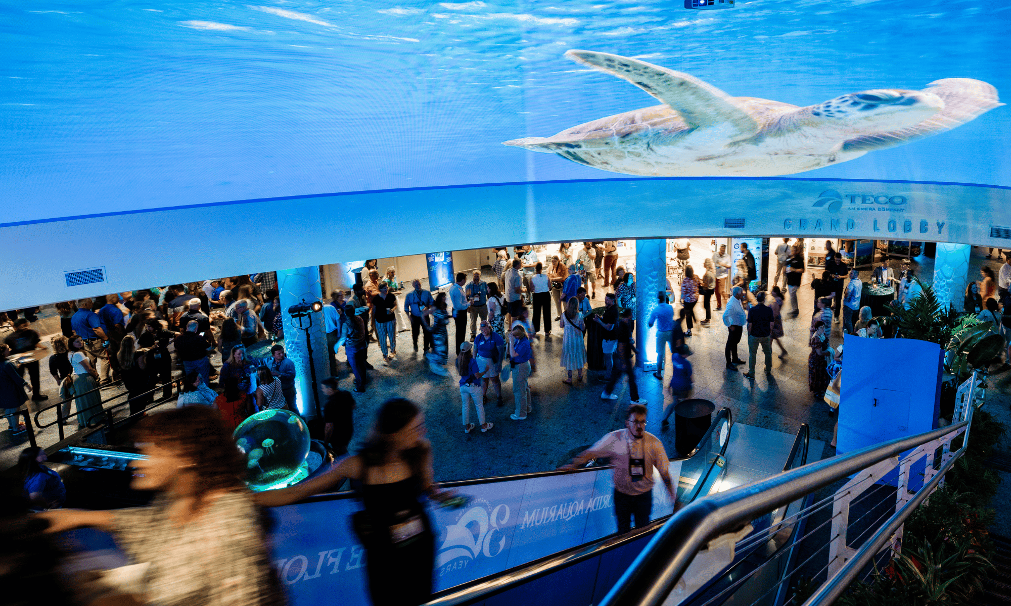 The_Florida_Aquarium