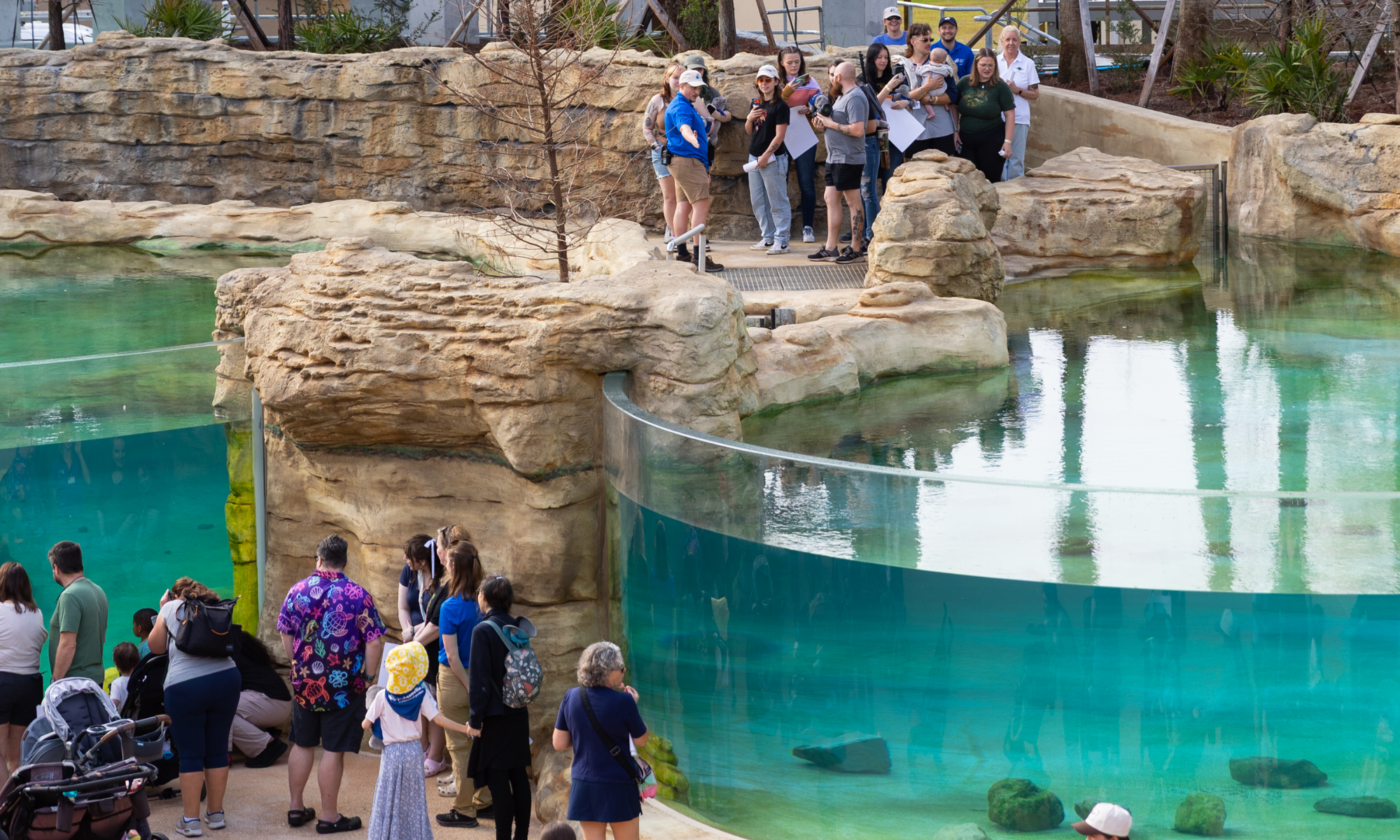  People looking at an aquarium tank representing visitor experience and revenue strategy for the future of zoos and aquariums.  