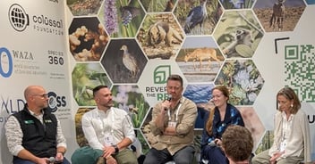 On the Go with Chef Matt Desert Heat, Global Voices, and the Plate That Connects Us: Reflections from the IUCN World Conservation Congress 2025, Abu Dhabi